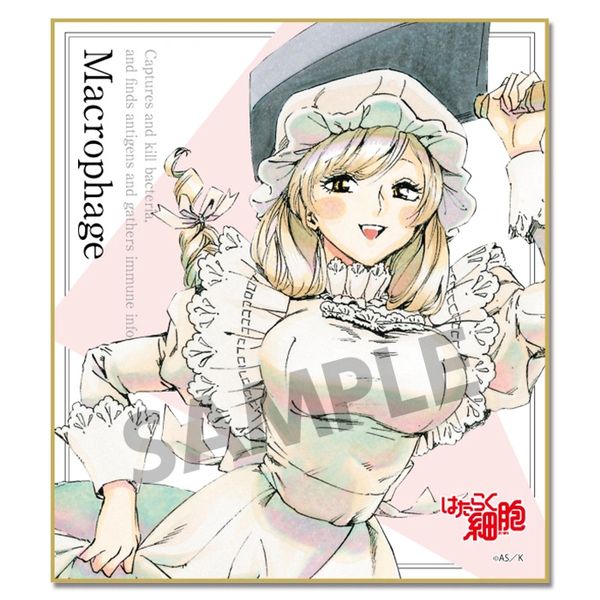 AmiAmi [Character & Hobby Shop]  Cells at Work Macrophage Ani-Art Canvas  Board(Released)