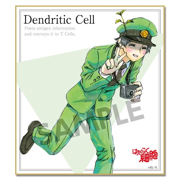 Trading Mini Shikishi "Cells at Work! (Dendritic Cell)" by Hobby Stock