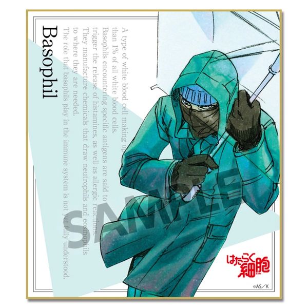 Trading Mini Shikishi "Cells at Work! (Basophil)" by Hobby Stock