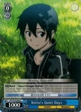 SAO/S20-E089 (C) Kirito's Quiet Days