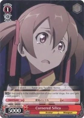 SAO/S20-E066 (C) Cornered Silica