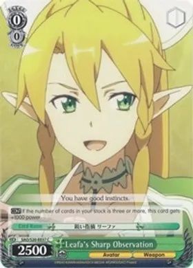 SAO/S20-E037 (C) Leafa's Sharp Observation