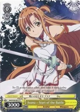 SAO/S20-E017 (C) Asuna - Start of the Battle