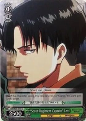 AOT/S35-E045 (C) "Scout Regiment Captain" Levi