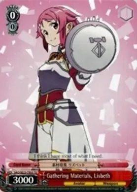 SAO/SE23-TE03 (TD) Gathering Materials, Lisbeth