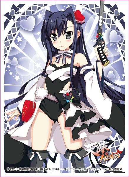 Chara Sleeve Collection "Black Bullet Tenchu Girls (Black)" No.301 by Movic