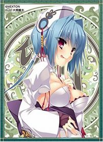 Girls Sleeve Collection "Shin Koihime Eiyuutan (Chouun Shiryuu Sei)" Vol.028 by Nexton