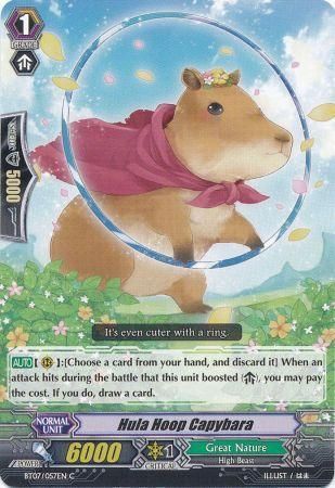 BT07/057EN (C) Hula Hoop Capybara