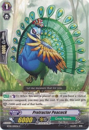 BT09/090EN (C) Protractor Peacock