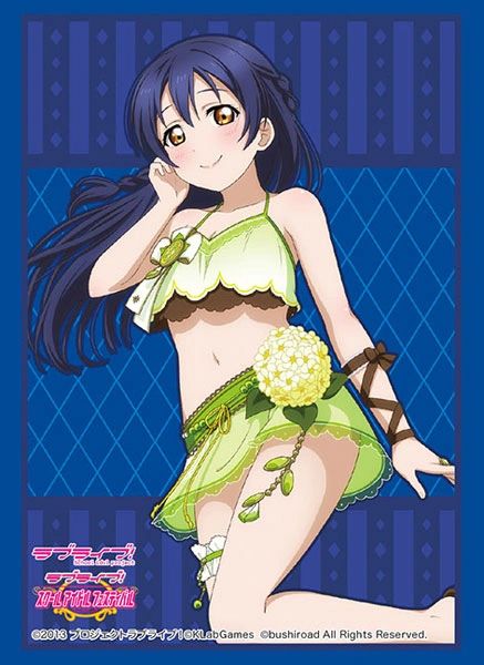 Sleeve Collection HG "Love Live! (Sonoda Umi) Part.6" Vol.2075 by Bushiroad