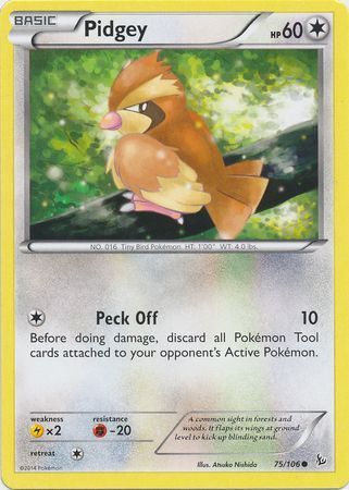 75/106 (C) Pidgey