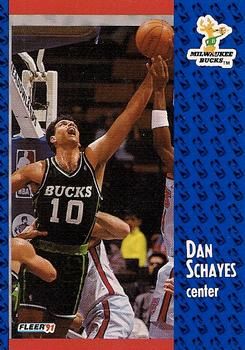 1991 FLEER #119 Dan Schayes - Standard