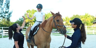 Equine Assisted Psychotherapy. Therapy with horses for anxiety 