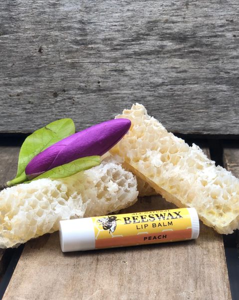 Coconut Pie All Natural Beeswax Lip Balm