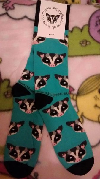Sugar Glider Socks - Exclusive to SWSG UK - One Size | South West Sugar ...