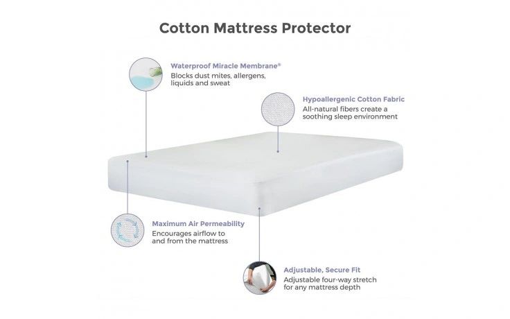 Protect a bed cotton mattress protector fitted Protect-a-bed ...