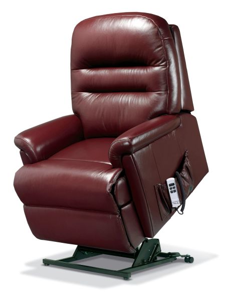 Leather dual motor rise outlet and recline chairs