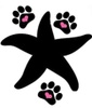 Starfish Dogs Foundation