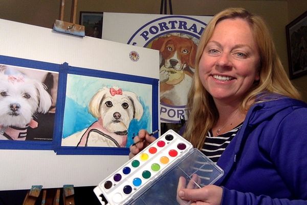 DIY Paint Your Pet Art Kit