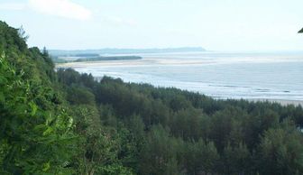 Cox's Bazar Beach
World's longest Beach
Himchari
Waterfalls meeting Sea Shore