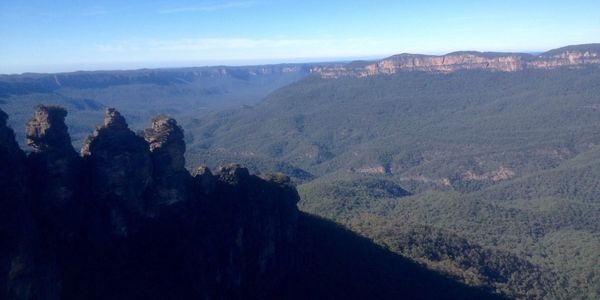 Blue Mountains
New South Wales
Day tour from Sydney
Australia
Koala