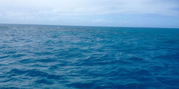 Great Barrier Reef
Cairns Australia
Underwater world
Corals
Scuba Diving, Snorkeling 
