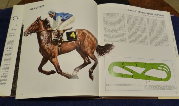 Champion Horses by Maurizio Bongianni History of Flat Racing, Steeplechasing and Trotting Races ***Beautifully Illustrated by Pieri Cozzaglio