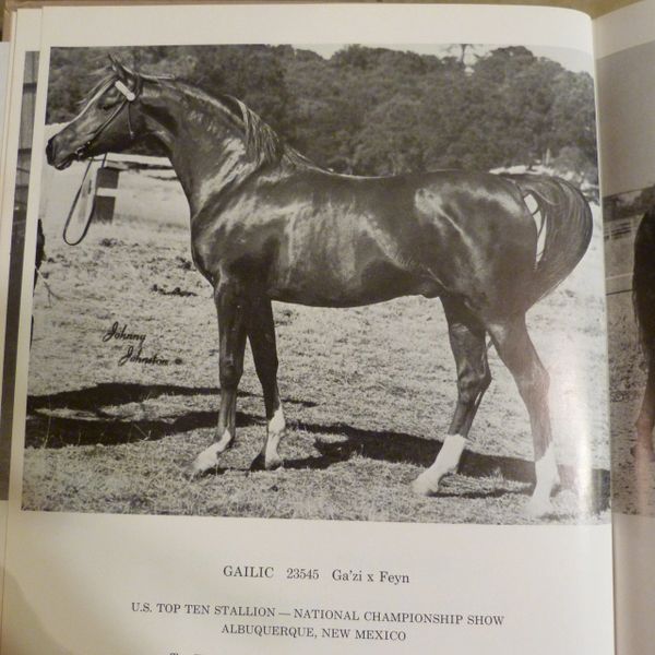 1967 Arabian Horse Yearbook