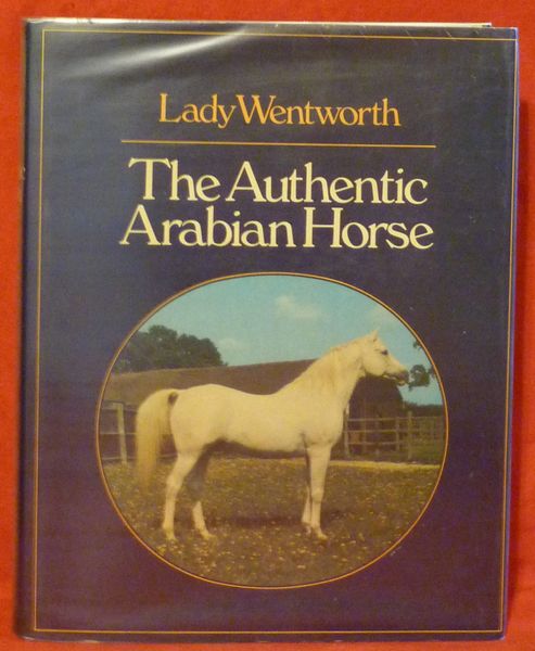 AUTHENTIC ARABIAN HORSE by Lady Wentworth