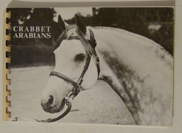 Crabbet Arabians by Cecil Covey Pictorial Collection of Crabbet Arabian Horses