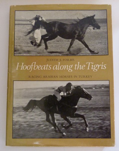 Hoofbeats Along the Tigris by Judith Forbis