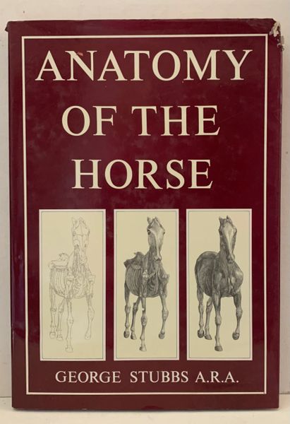 ANATOMY of the HORSE by George Stubbs