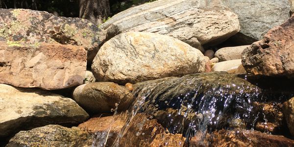 Residential landscape with a water feature.