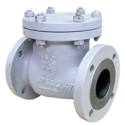 Bolted Bonnet Check Valve
Swing Check Valve
Cast Steel