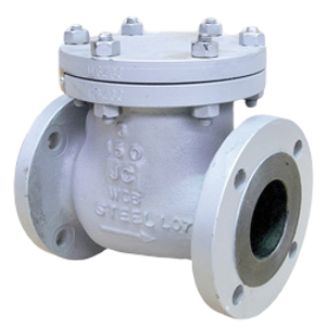 Bolted Bonnet Check Valve
Stainless Check Valve
WCB Check Valve