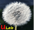 Ulab-saintlouis