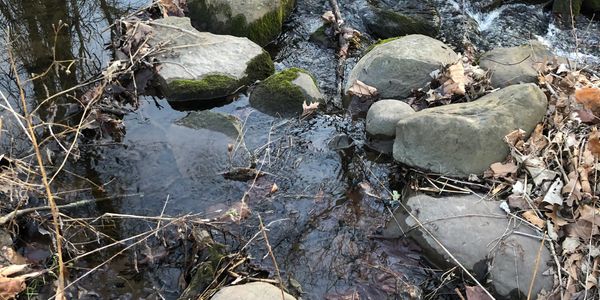 View of the stones in the drainage on the display