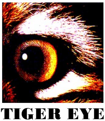 Tiger Eye Bike Mirrors