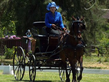 Person in blue attire rides a horse-drawn carriage.