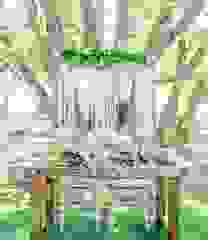 image237