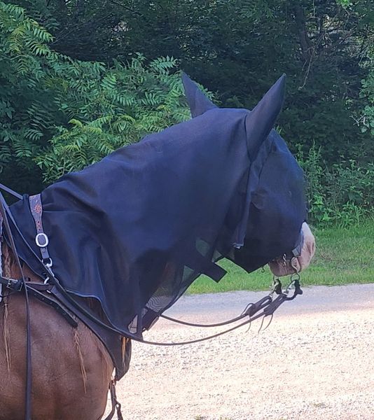 Equus Fly Veil - New in 2023