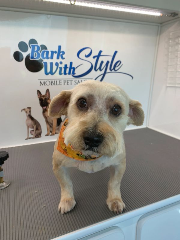 Bark With Style Mobile Pet Grooming, Bergen County Pet Groomer