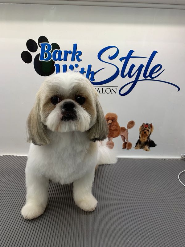 Bark With Style Mobile Pet Grooming, Bergen County Pet Groomer