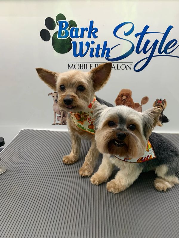 Bark With Style Mobile Pet Grooming, Bergen County Pet Groomer