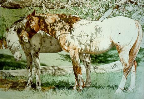 "Peeper's Ponies" - 24x18 by Judith Angell Meyer, Limited Edition Print on Paper