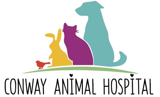 Conway Animal Hospital Animal Hospital Veterinarian