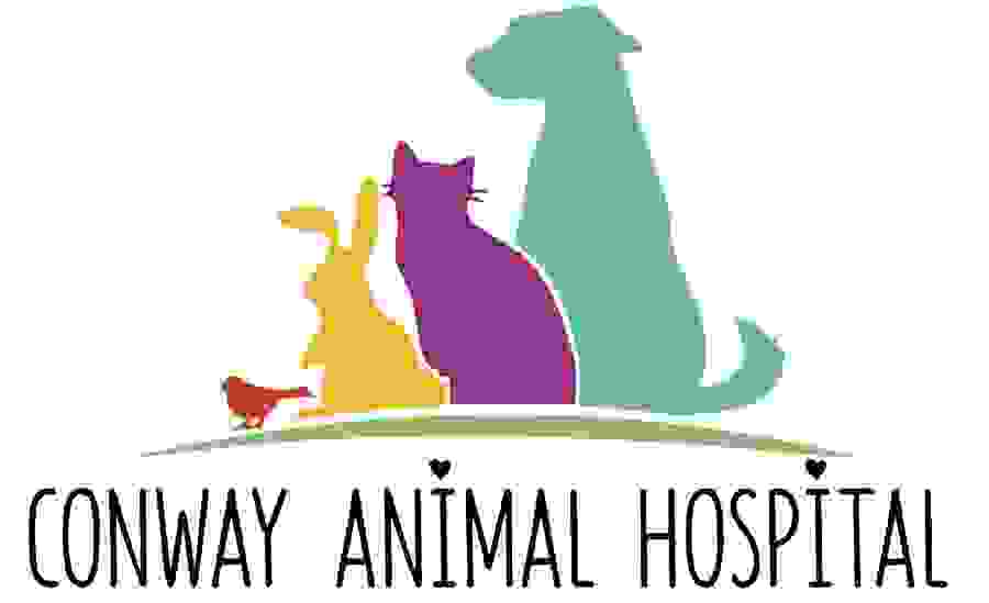 Online Pharmacy | Conway Animal Hospital