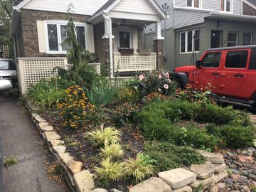 We specialize and love to transform city front gardens 