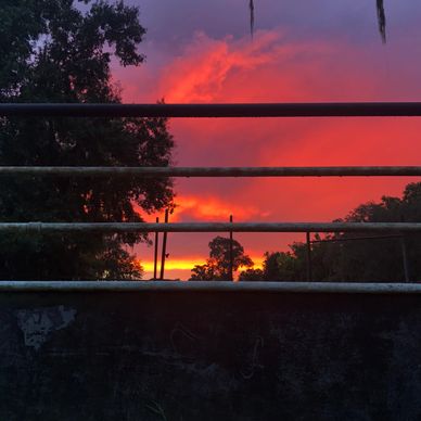 Sun setting over the round pen 