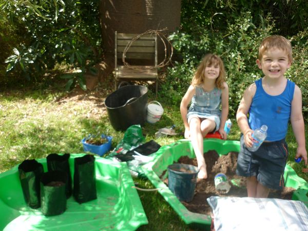 Backyard activities with children | Planting seeds with children | The Backyard Garden Enthusiast
